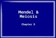 Mendel & Meiosis Chapter 6. Mendelian Genetics What is this? Branch of genetics that deals with simple dominant/recessive traits based on the work of