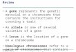 Review A gene represents the genetic material on a chromosome that contains the instructions for creating a trait An allele is one of several varieties
