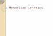 Mendelian Genetics. Mendel’s Principle of Heredity Science of heredity- passage of traits from parents to offspring Heredity material (genes) carried