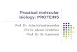 Practical molecular biology: PROTEINS Prof. Dr. Julia Kzhyshkowska PD Dr. Alexei Gratchev Prof. Dr. W. Kaminski