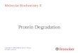 Protein Degradation Copyright © 2000-2008 by Joyce J. Diwan. All rights reserved. Molecular Biochemistry II