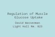 Regulation of Muscle Glucose Uptake David Wasserman Light Hall Rm. 823