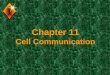 Chapter 11 Cell Communication. Question? u How do cells communicate?