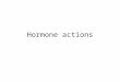 Hormone actions. Hormones Three subgroups based on chemical nature –Proteins –Lipids Cholesterol Eicosanoids –Animo acid derivatives