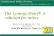 The Synergy Model: A solution for ratios Rosalee Longmoore RN, SUN President CFNU ICN Workforce Forum 2012