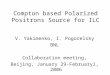Compton based Polarized Positrons Source for ILC V. Yakimenko, I. Pogorelsky BNL Collaboration meeting, Beijing, January 29-February1, 2006