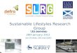 Sustainable Lifestyles Research Group An overview CES Seminar 26th January 2012 Ian Christie, CES and SLRG