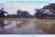 Environment and Development Dr. P. M. Prasad. Environmental Problems Theory of Environmental Policy Environmental Policy in India