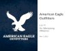 American Eagle Outfitters Liu Yi Xu Wenqiang (Wayne) Nov 7, 2013