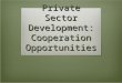 Private Sector Development: Cooperation Opportunities