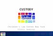 CUSTODY Children’s Law Center New York Clinic Seminar