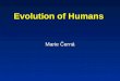 Evolution of Humans Marie Černá. Time scheme of Evolution Precambrian era 4.6 billion years ago 4.0 billion years ago 3.5 billion years ago 2.5 billion