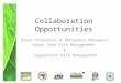 Collaboration Opportunities Urban Foresters & Emergency Managers Urban Tree Risk Management & Vegetation Risk Management