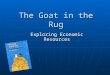 The Goat in the Rug Exploring Economic Resources