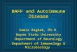BAFF and Autoimmune Disease Samia Ragheb, Ph.D. Wayne State University Department of Neurology Department of Immunology & Microbiology