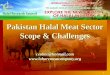 1 Pakistan Halal Meat Sector Scope & Challenges ceolmc@hotmail.com 