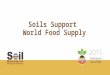 Soils Support World Food Supply. Where Does Your Food Come From? Plants Animals Energy obtained from plants Animal Products (Milk)