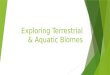 Exploring Terrestrial & Aquatic Biomes. Overview: Discovering Ecology  Ecology is the scientific study of the interactions between organisms and the