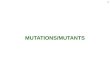 MUTATIONS/MUTANTS 1. MUTATIONS AND MUTANTS GENOTYPE AND PHENOTYPE GENOTYPE-nucleotide sequence of a gene - chromosome - genome wild-type, mutation (change
