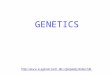 GENETICS Mendel Studying Heredity VOCAB Genetics Random Q $100 Q $200 Q $300 Q $400 Q $500 Q $100 Q $200 Q $300 Q $400 Q $500 Final JeopardyJeopardy