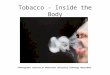 Tobacco - Inside the Body ©Photographs courtesy of Manchester University Pathology Department