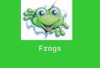 Frogs. Prehistoric Frogs Did you know amphibians have been around for... an estimated 350 million years. The earliest known frog appeared about 190 million