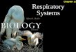 Respiratory Systems Chapter 37. Respiratory Systems 2Outline Gas Exchange Surfaces  Water Environments Gills  Land Environments Lungs Human Respiratory