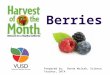 Berries Prepared by: Donna Wojtak, Science Teacher, DATA