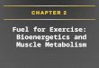 Fuel for Exercise: Bioenergetics and Muscle Metabolism