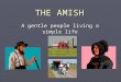 THE AMISH A gentle people living a simple life. Who are the Amish? ► They are members of a particular Christian denomination. ► They are best known for