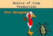 Pest Management Basics of Crop Production Pest Control Goals Prevention - goal when pest presence or abundance can be predicted Prevention - goal when