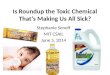 Is Roundup the Toxic Chemical That’s Making Us All Sick? Stephanie Seneff MIT CSAIL June 5, 2014