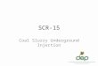SCR-15 Coal Slurry Underground Injection. SCR-15 “That the Department of Environmental Protection and the Bureau for Public Health shall jointly design