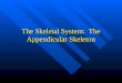The Skeletal System: The Appendicular Skeleton. Divisions of the Skeletal System Axial skeleton—protects and supports the internal organs Axial skeleton—protects
