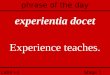 Latin i-a Stage 1 (1) phrase of the day experientia docet Experience teaches