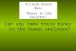 Can you name these bones in the human skeleton? Picture Board Quiz ‘Bones in the Skeleton’