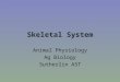 Skeletal System Animal Physiology Ag Biology Sutherlin AST