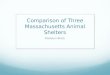 Comparison of Three Massachusetts Animal Shelters Madalyn Black