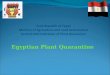 Egyptian Plant Quarantine. What is the Egyptian Plant Quarantine EPQ Egyptian Plant Quarantine is the protecting fence against entrance of any diseases