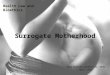 Surrogate Motherhood Vera Esteves-Cardoso no. 1536 April 2013 Health Law and Bioethics