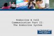 Endocrine & Cell Communication Part II: The Endocrine System