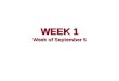 WEEK 1 Week of September 5. Words have Denotation and a Connotation meanings. Denotation Denotation: Dictionary meaning of the word; the literal meaning