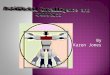 By Karen Jones.  Introduction to Artificial Intelligence  Introduction to Robotics  Robotics  Solar powered Insects  Android  Graph  Conclusion
