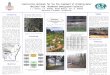 Introduction Constructive Wetlands for the Pre-treatment of Drinking Water Obtained from Abandoned Underground Coalmines C.J. Varnell, S.A. Thawaba, Thomas