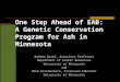 One Step Ahead of EAB: A Genetic Conservation Program for Ash in Minnesota Andrew David, Associate Professor Department of Forest Resources University