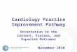 Cardiology Practice Improvement Pathway Orientation to the Content, Process, and Expected Outcomes November 2010