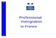 MIIINDS Professional Immigration in France 25.11.08