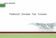 Peck, Shaffer & Williams LLP 1 Federal Income Tax Issues Matthias Edrich Erick Stowe January 30, 2009