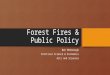 Forest Fires & Public Policy Ben McDonough Political Science & Economics Arts and Sciences