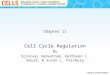 Chapter 11 Cell Cycle Regulation By Srinivas Venkatram, Kathleen L. Gould, & Susan L. Forsburg